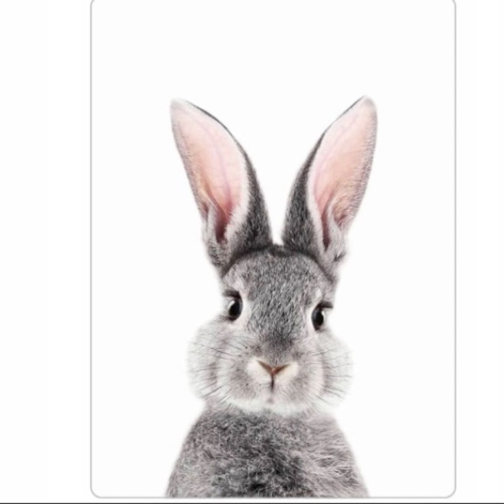 Cute Rabbit Print  Magnet - Picture 4 of 5